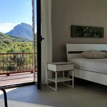 Datca Almond Valley Houses Willa Emecik